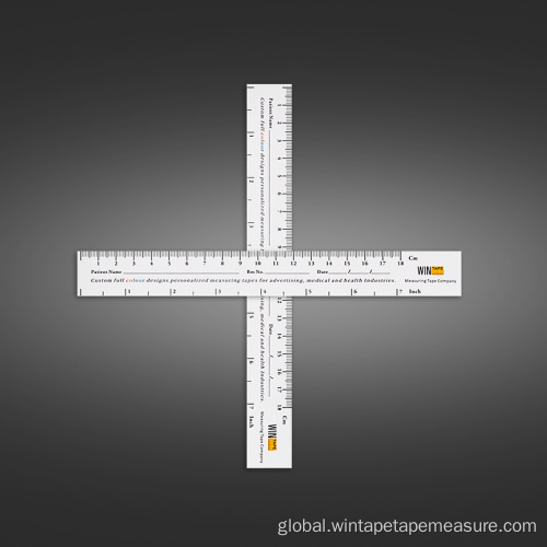 China Paper Wound Measuring Ruler 18Cm Supplier